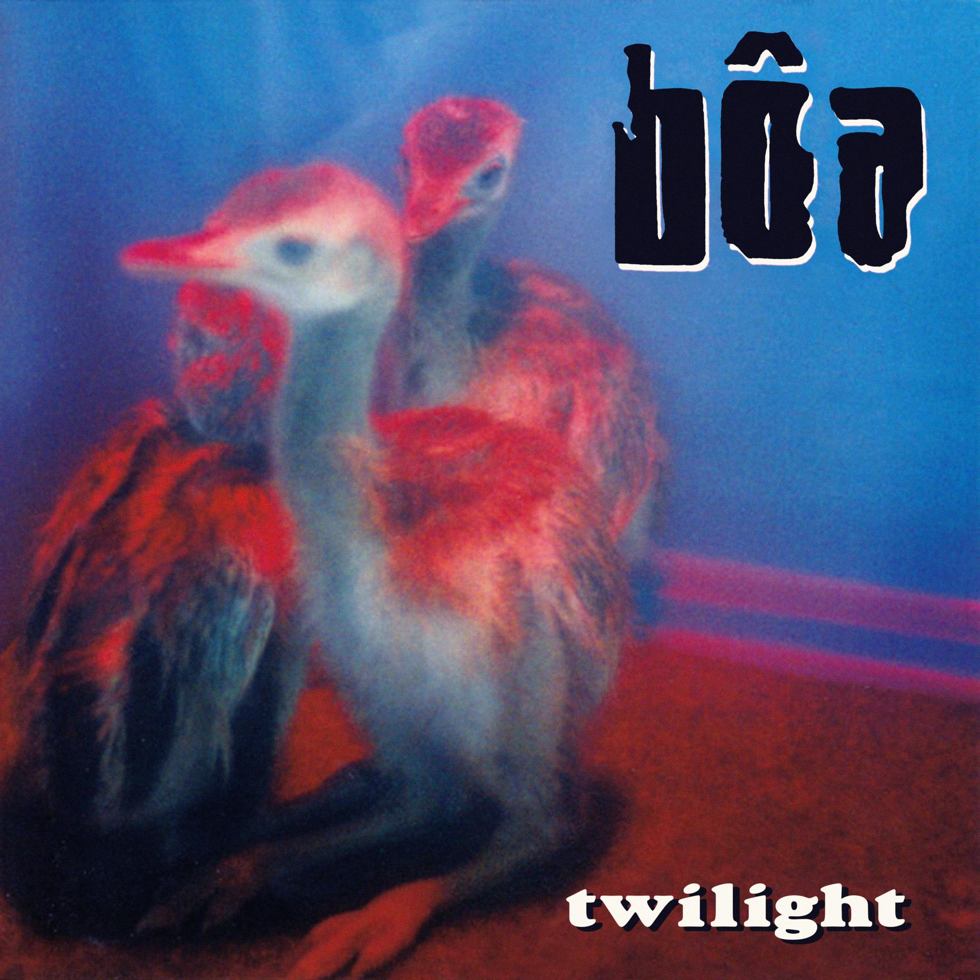 Twilight专辑