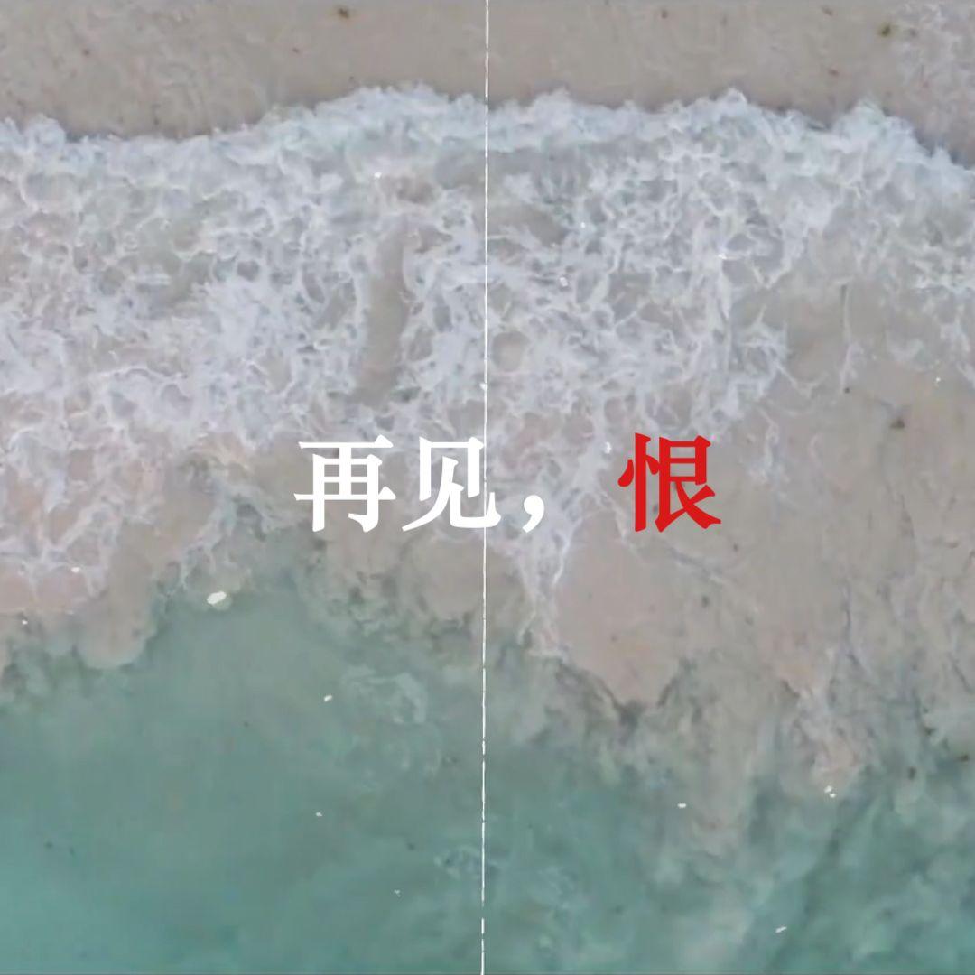再见了，我以恨意为燃料的人生...专辑