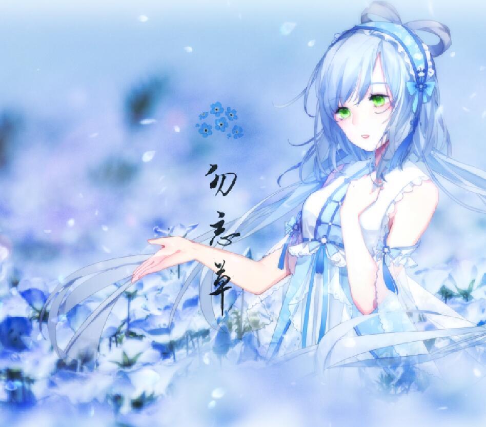 勿忘草专辑