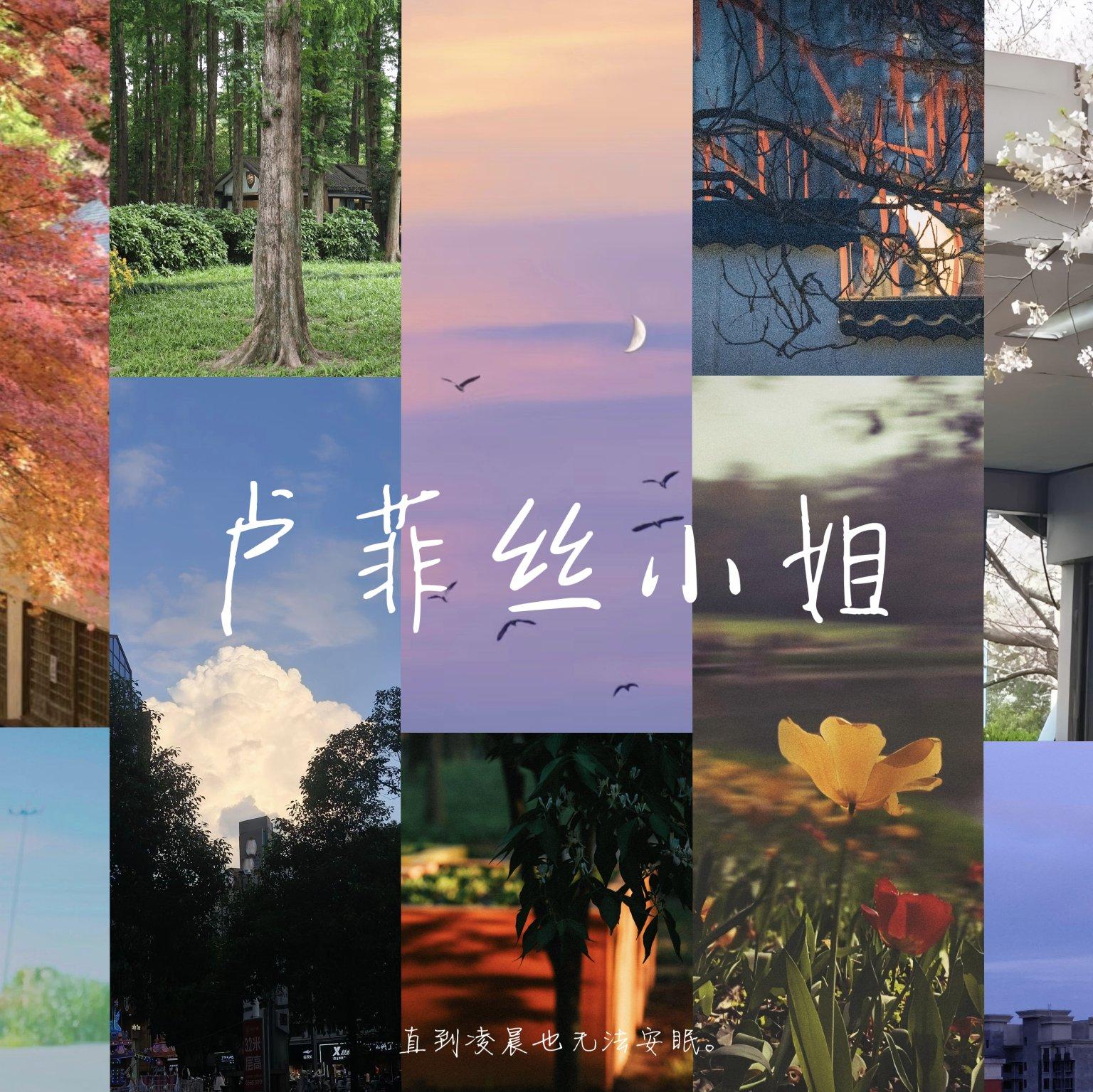 卢菲丝小姐专辑