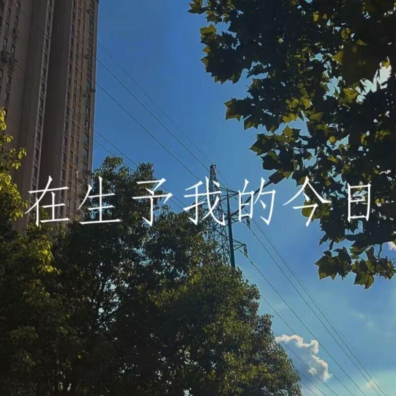 在生予我的今日专辑