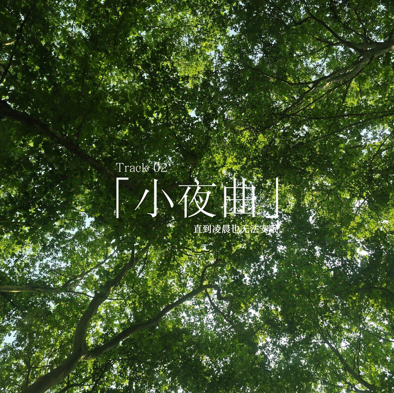 小夜曲专辑