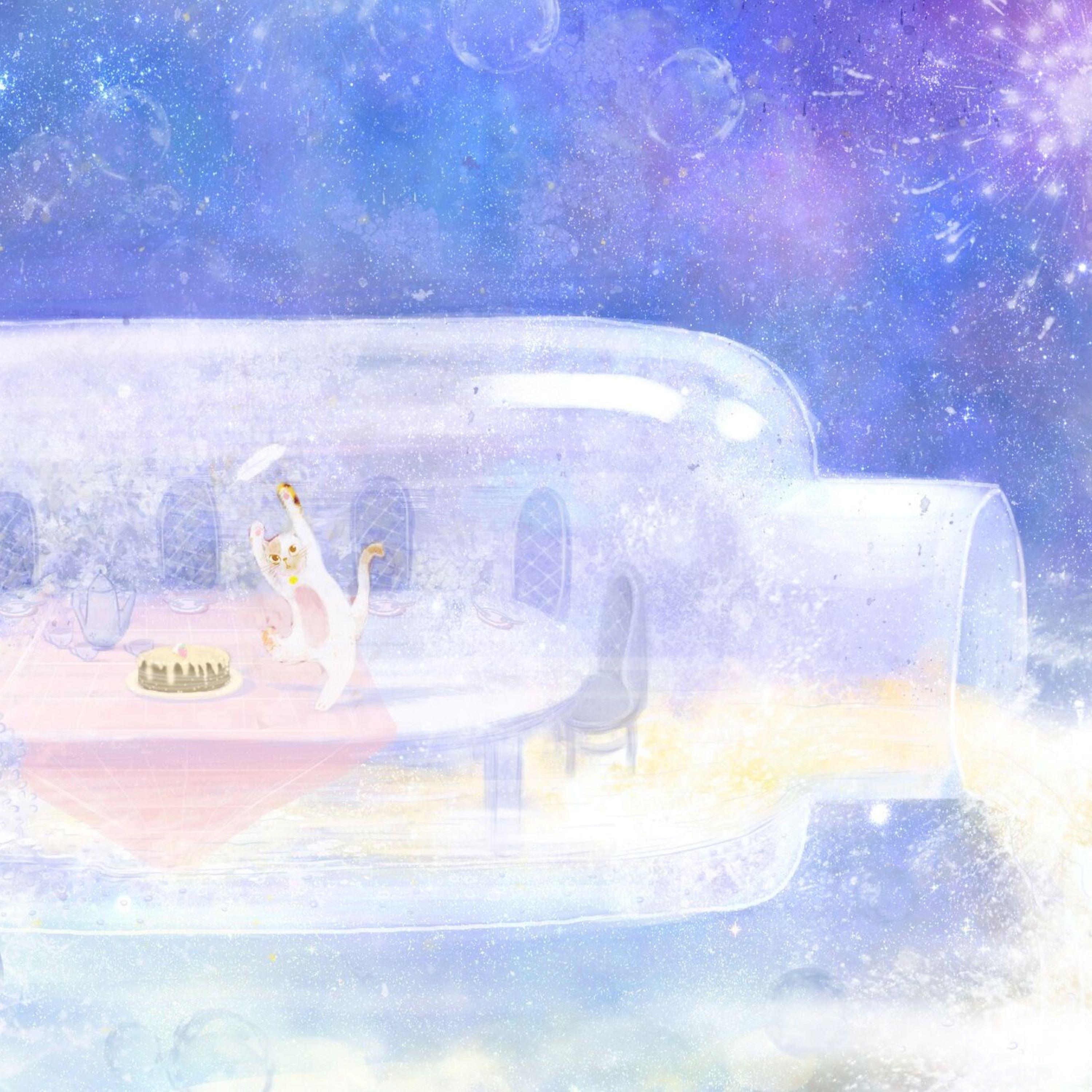 星茶会专辑