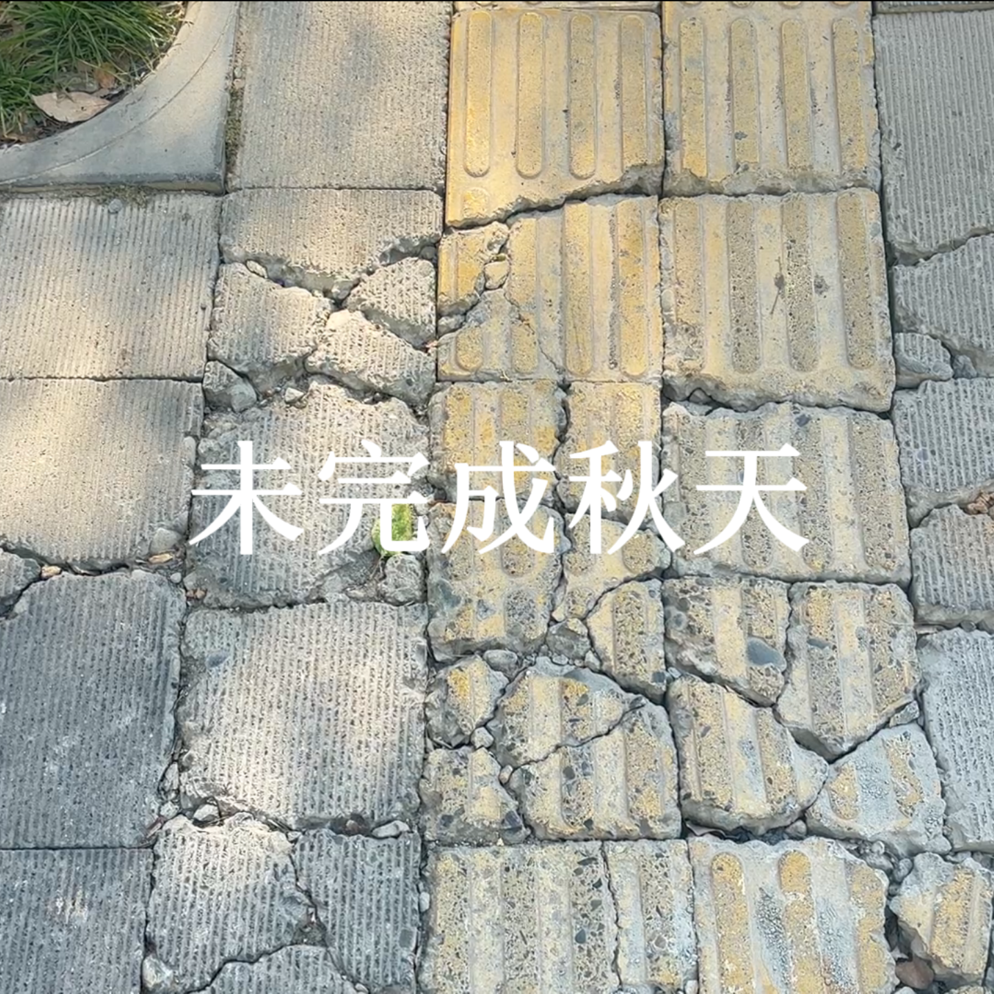未完成秋天专辑
