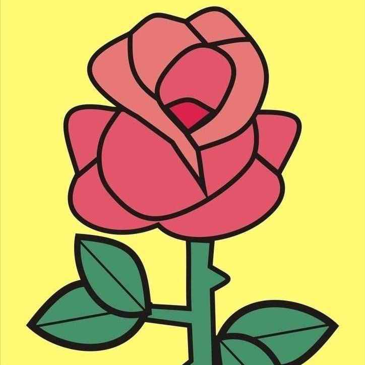 花粉症专辑