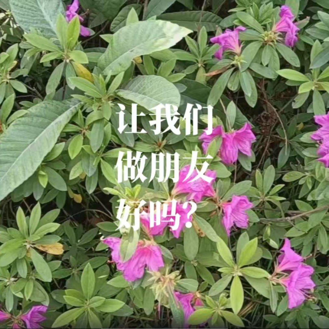 让我们做朋友好吗专辑